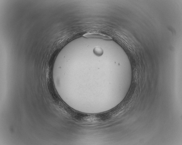 X0000115760219200912041417