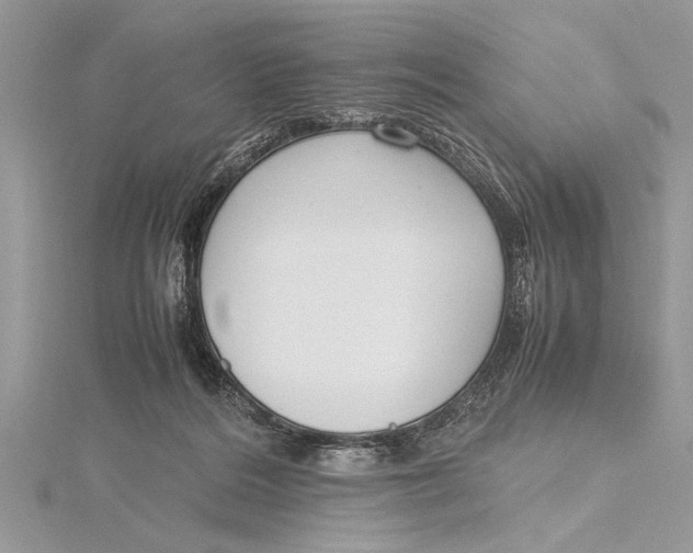 X0000115760220200912041417