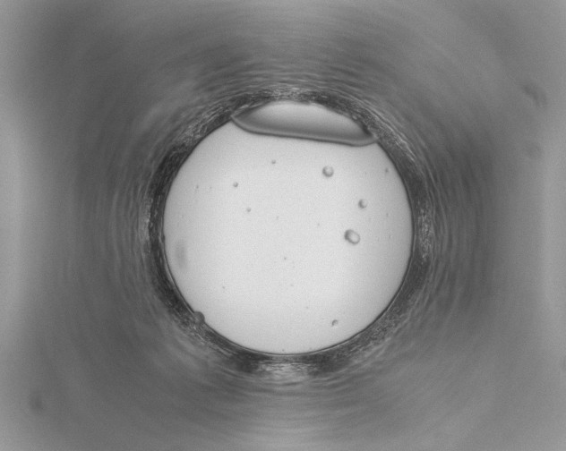 X0000115760221200912041417