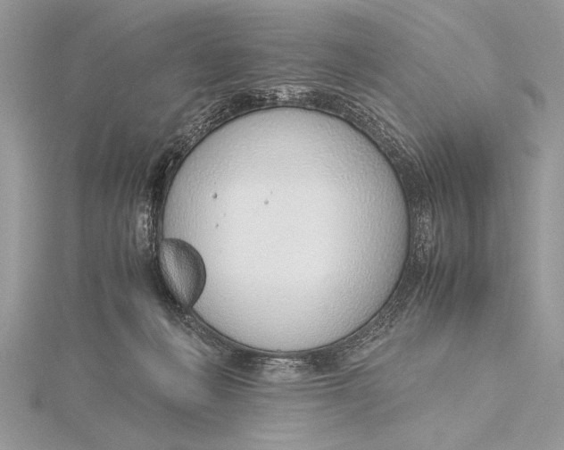 X0000115760222200912041417