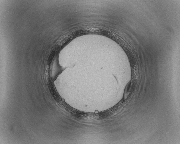 X0000115760223200912041417