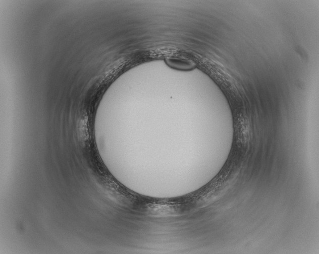 X0000115760224200912041417