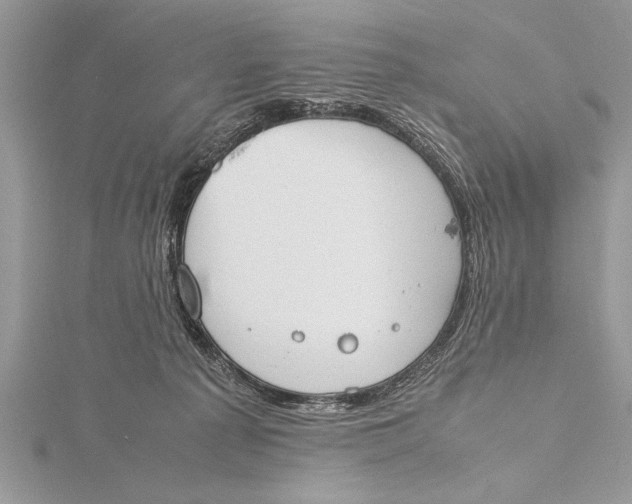 X0000115760225200912041417