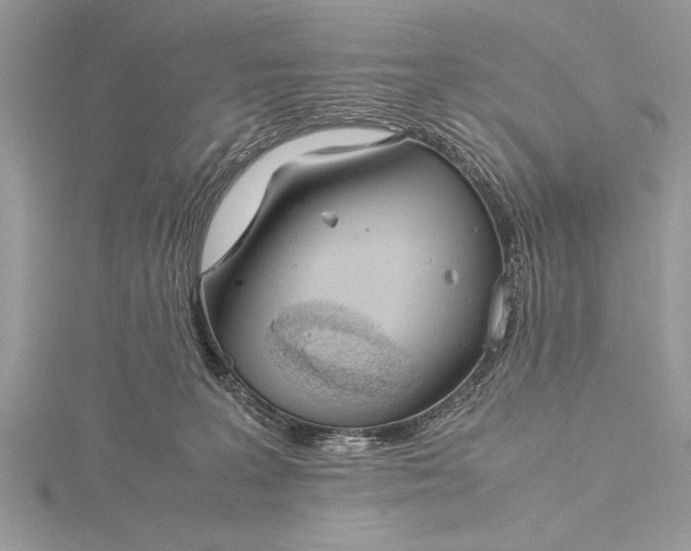 X0000115760227200912041417