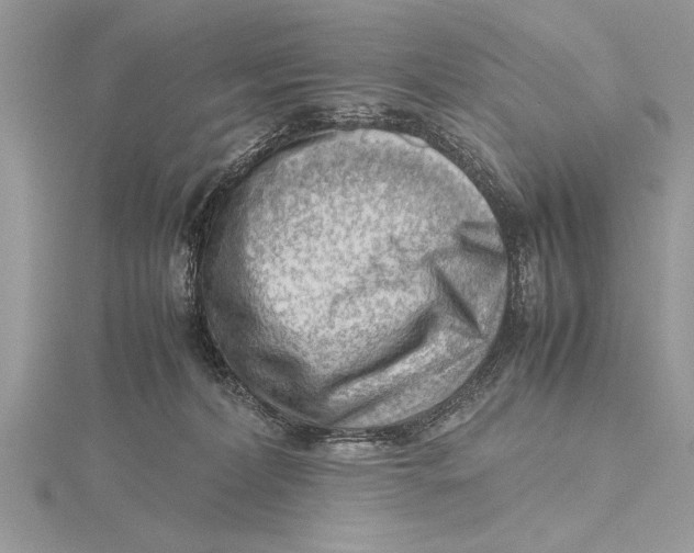 X0000115760228200912041417