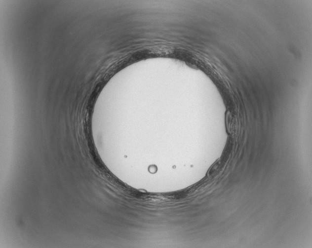 X0000115760229200912041417