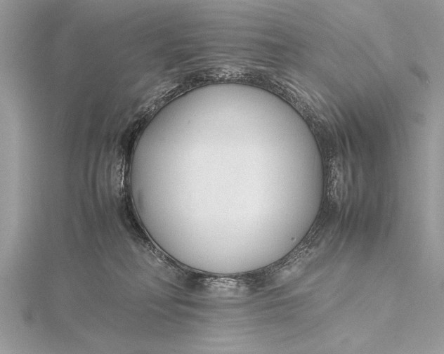 X0000115760230200912041417