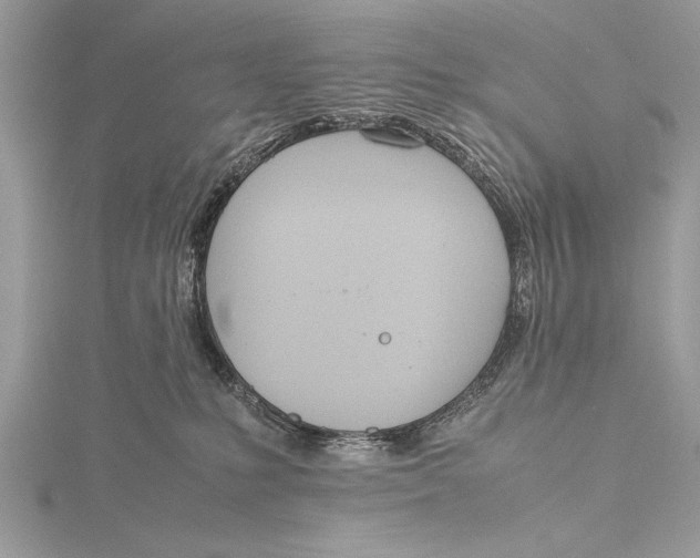 X0000115760231200912041417