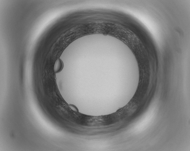 X0000115760239200912041417