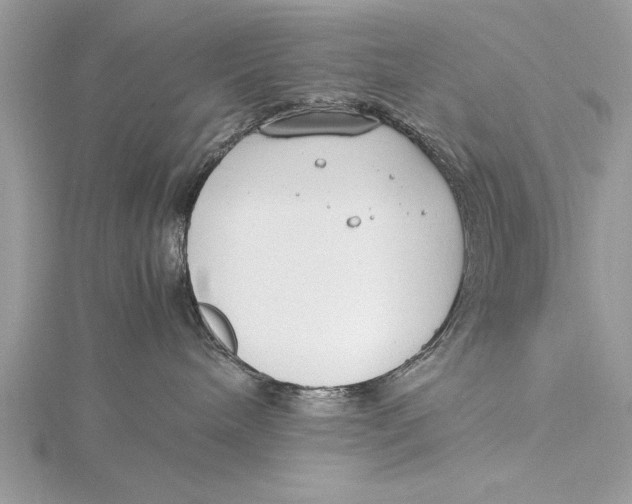 X0000115760240200912041417