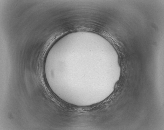 X0000115760241200912041416