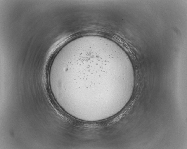 X0000115760245200912041416