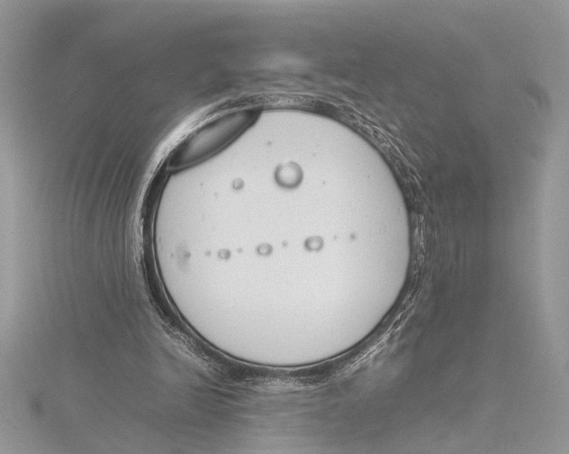 X0000115760246200912041416