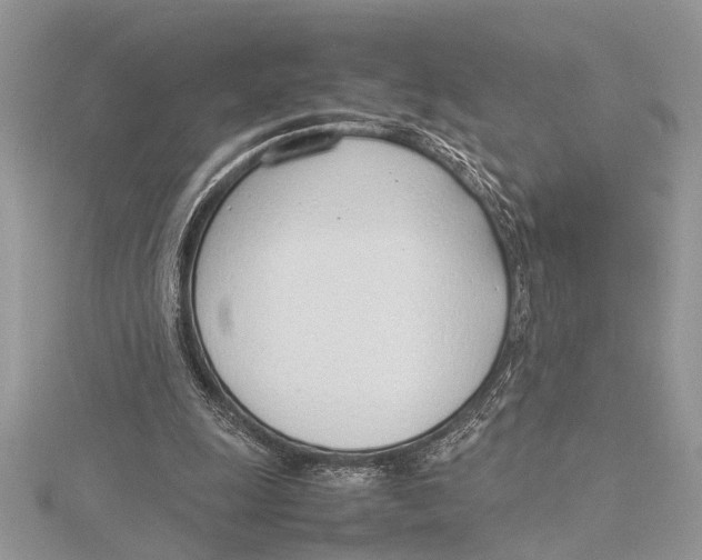 X0000115760247200912041416