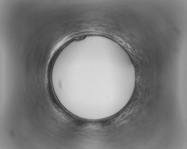 X0000115760248200912041416