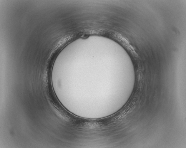 X0000115760250200912041416