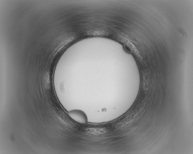 X0000115760251200912041416