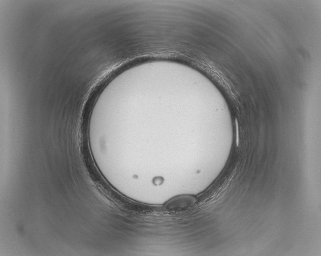 X0000115760252200912041416