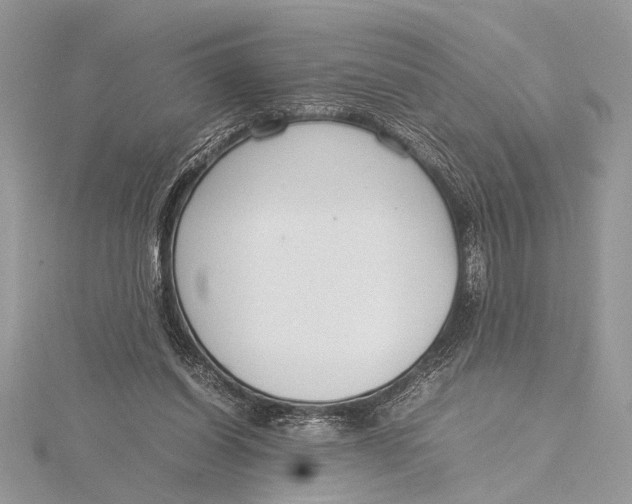 X0000115760254200912041416