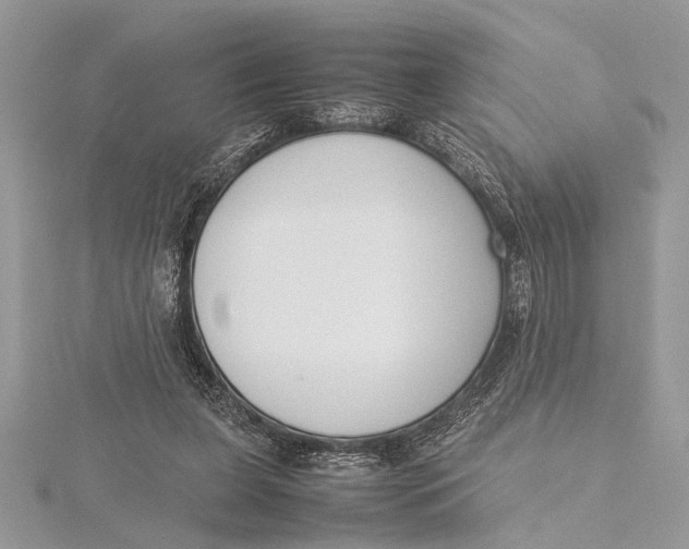 X0000115760255200912041416