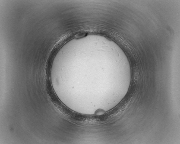 X0000115760256200912041416