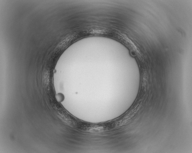 X0000115760257200912041416