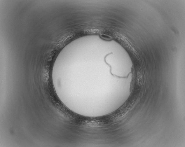 X0000115760259200912041416