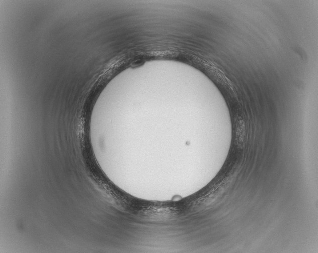 X0000115760260200912041416