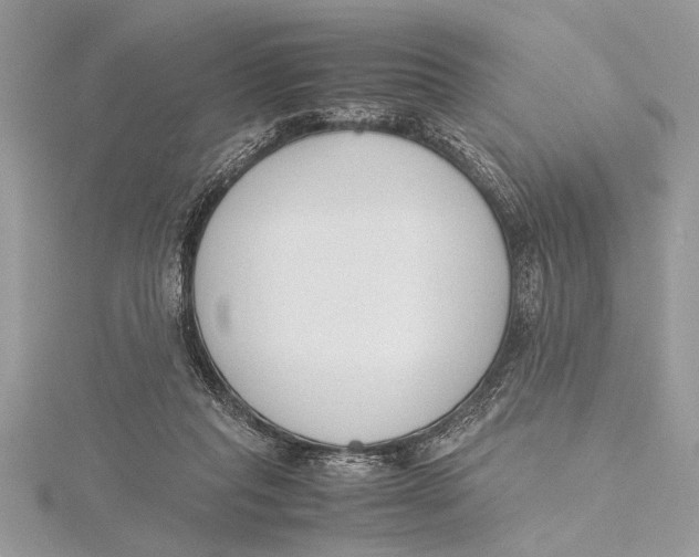 X0000115760261200912041416