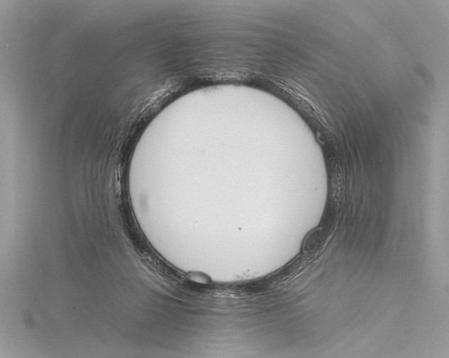 X0000115760264200912041416