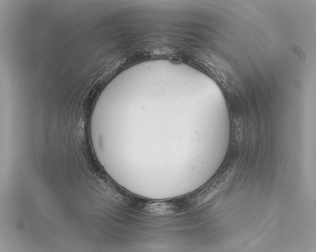 X0000115760269200912041416