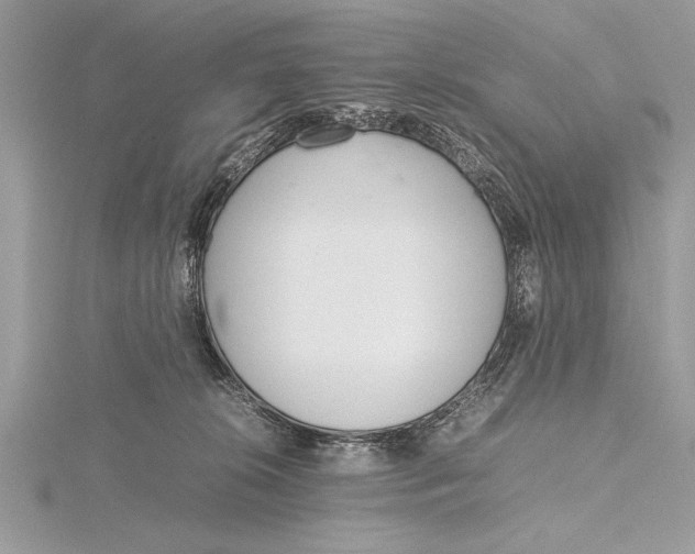 X0000115760276200912041417