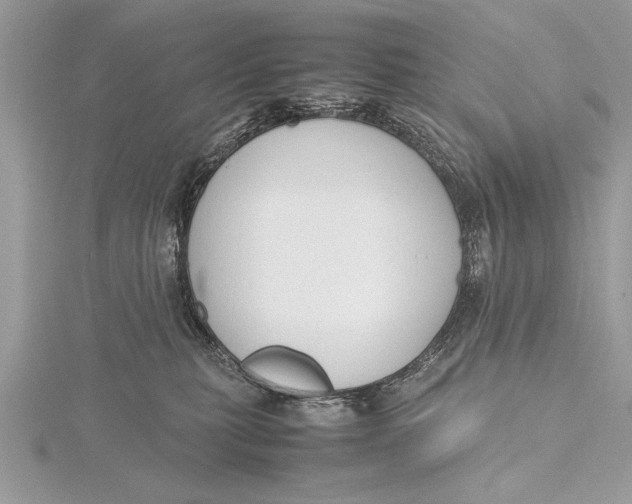 X0000115760279200912041417