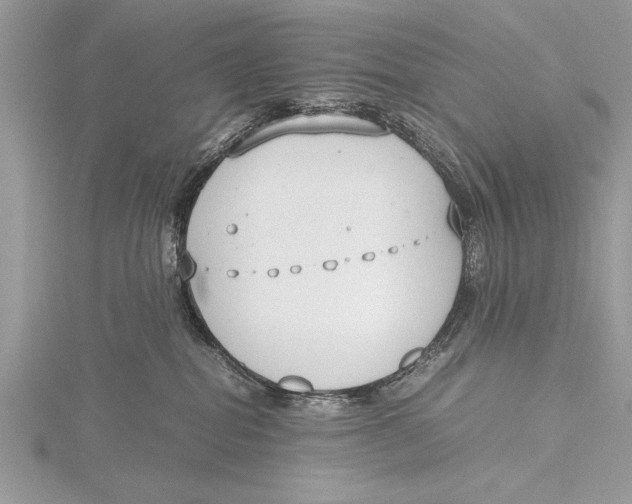 X0000115760282200912041417