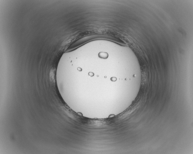 X0000115760286200912041417