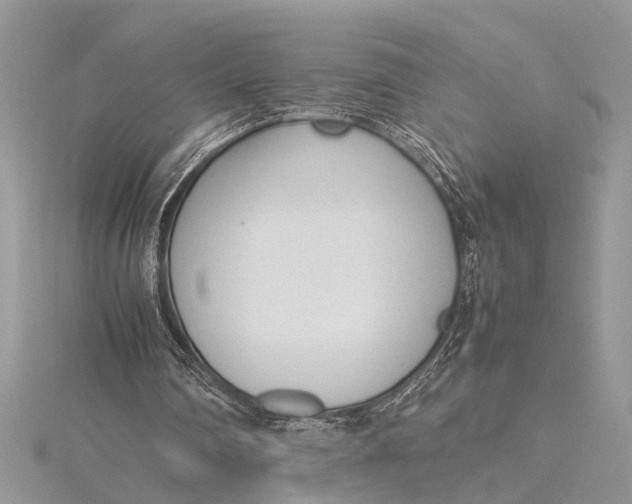 X0000115760290200912041416