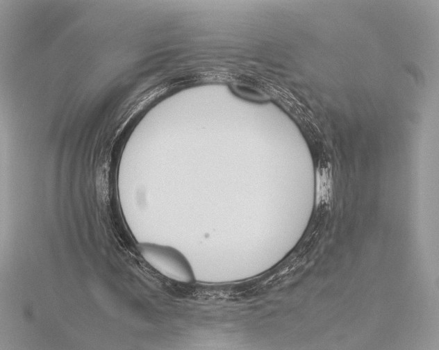 X0000115760291200912041416