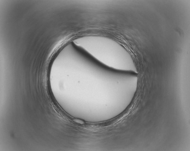 X0000115760293200912041416