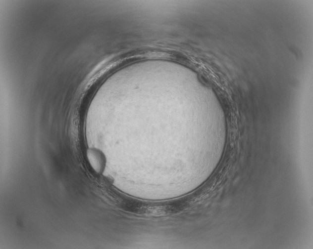 X0000115760295200912041416