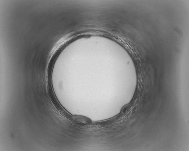 X0000115760296200912041416