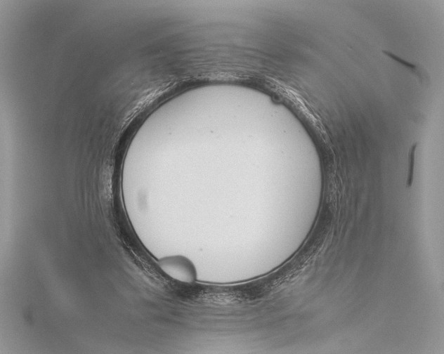 X0000115760299200912041416