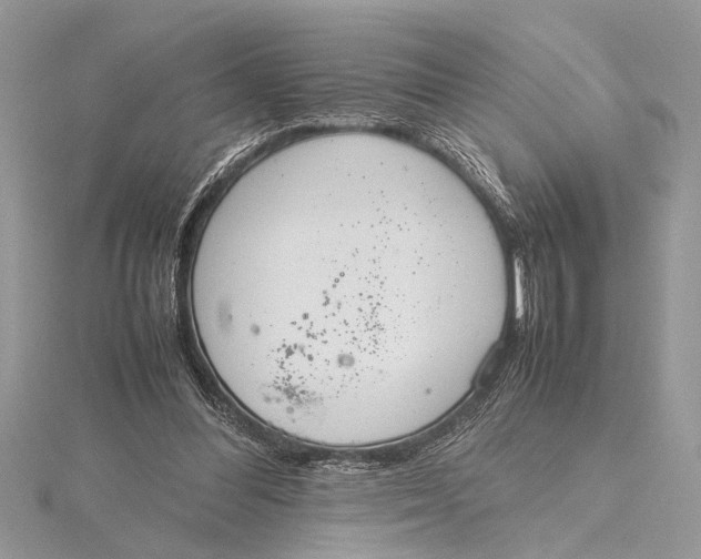 X0000115760300200912041416