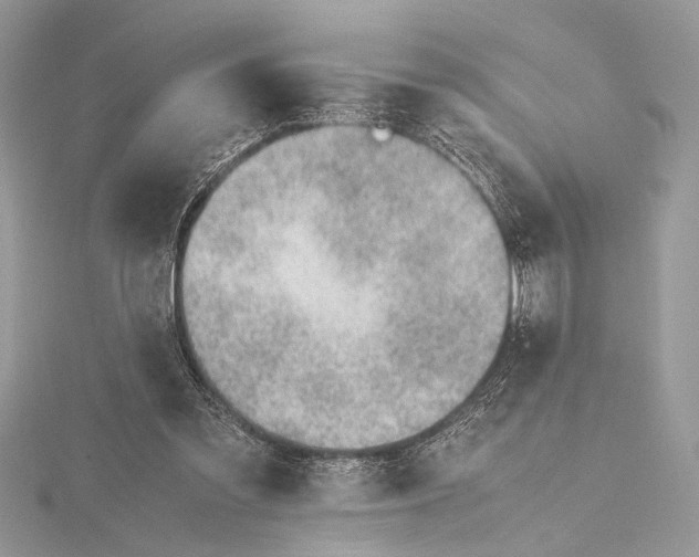 X0000115760301200912041416