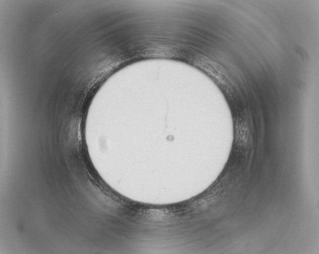 X0000115760302200912041416