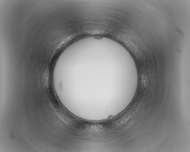 X0000115760304200912041416