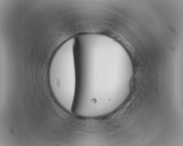 X0000115760305200912041416