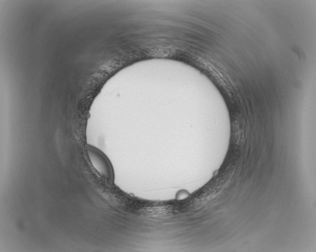 X0000115760307200912041416