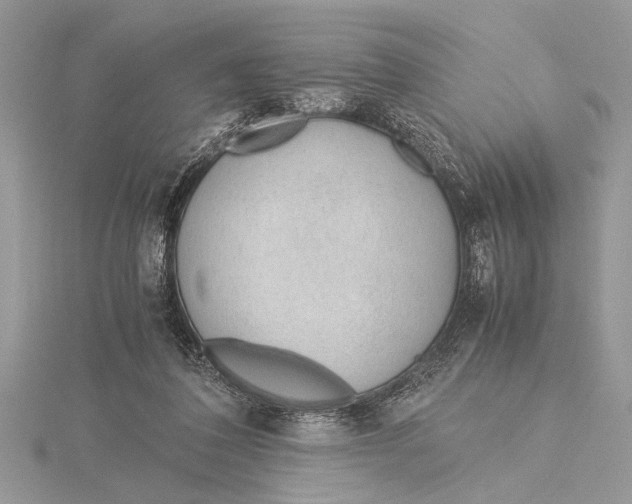 X0000115760308200912041416