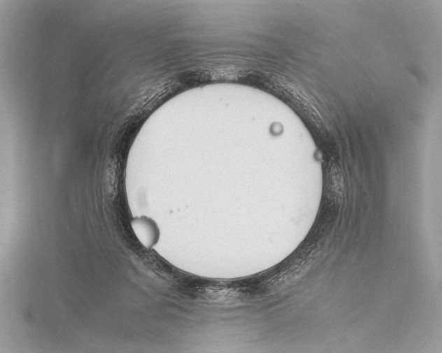 X0000115760311200912041416