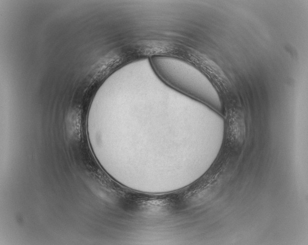 X0000115760312200912041416